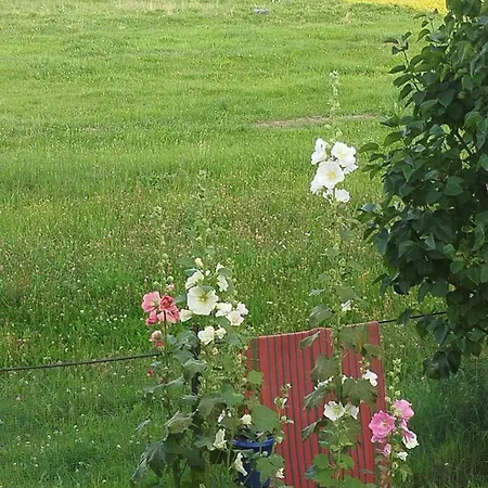 Daire Retro Lukas Ostrowsko